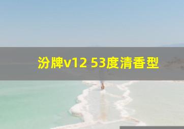 汾牌v12 53度清香型